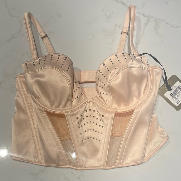 💎✨BNWT✨💎 Honey Birdette Bustier bra - Picture 2 of 7
